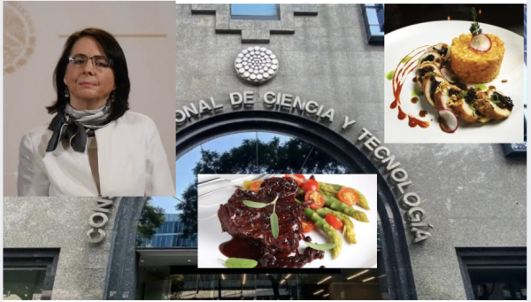 María Elena Álvarez-Buylla: prefirió pagar menús gourmet que apoyar a científicos en su paso por Conacyt
